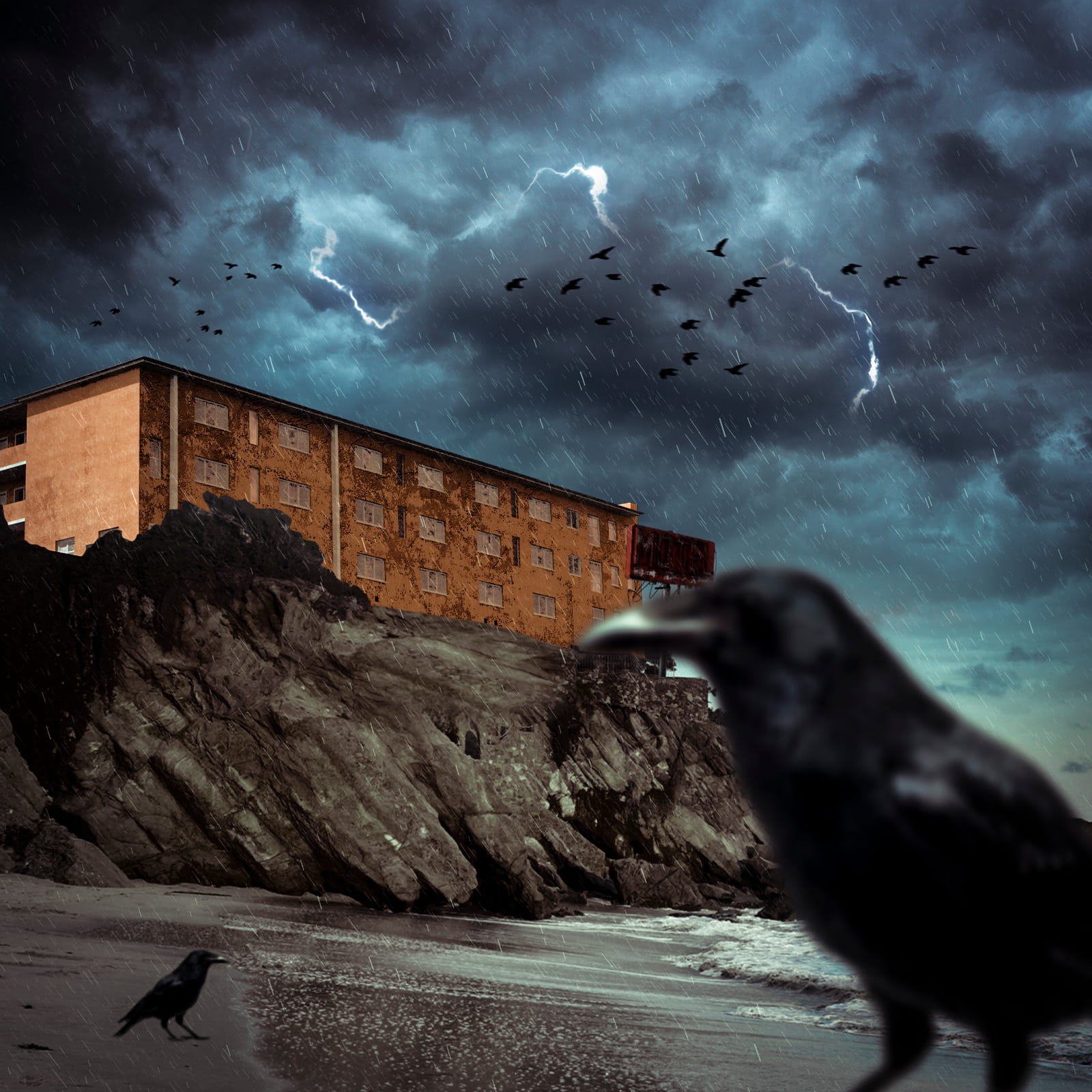 Raven in front of a dilapidated motel overlooking a distressed beach in a thunderstorm
